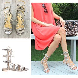 SCHUTZ Erlina Snakeskin Gladiator NEW